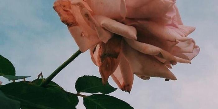 720x1280 Image about cute in aesthetic iPhone wallpapers