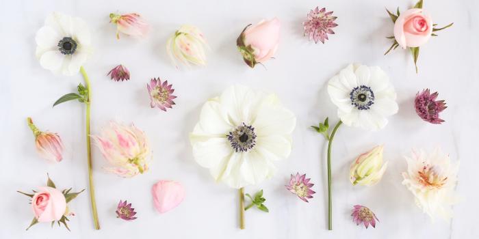 3803x2533 DIGITAL BLOOMS FEBRUARY 2018 | FREE DESKTOP WALLPAPERS - JustineCelina