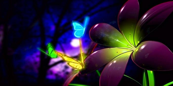 2880x1800 Nice Animated 3d Flower And Butterfly Wallpaper Desktop Desktop