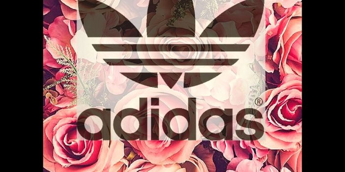 1536x2048 Nike Flower Wallpaper (75+ images)