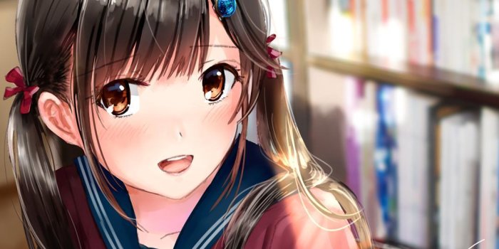 1080x842 Anime Girls Wallpaper for Android - APK Download