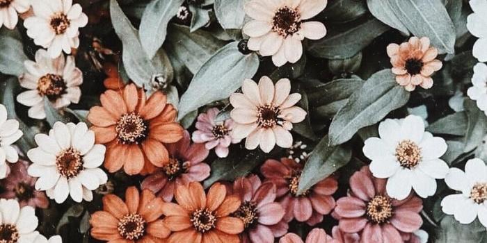 1080x1350 Floral Background Aesthetic