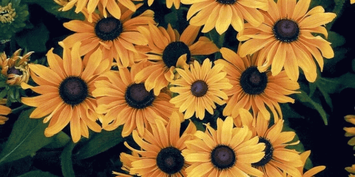 736x1104 Image about pretty in 