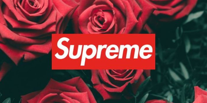 720x1280 Supreme Rose Wallpapers