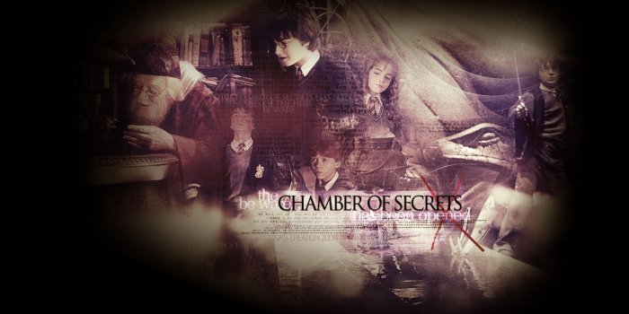 1920x1080 Chamber of Secrets - Harry Potter Wallpaper (35527946) - Fanpop