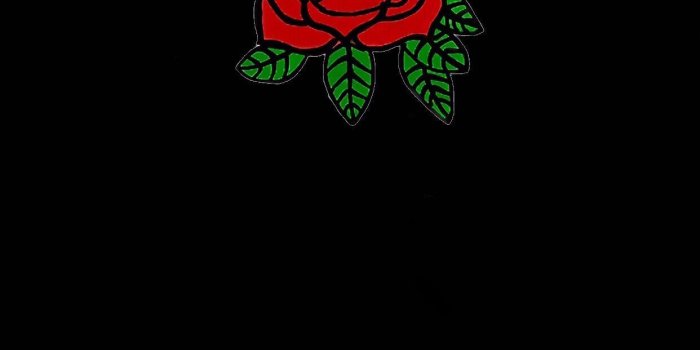 1242x2208 Hypebeast Rose Wallpapers - Top Free Hypebeast Rose Backgrounds