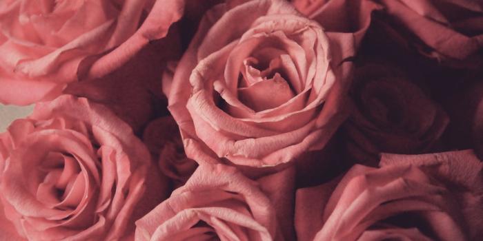 1060x1413 Flower Background Aesthetic | Kayaflower.co