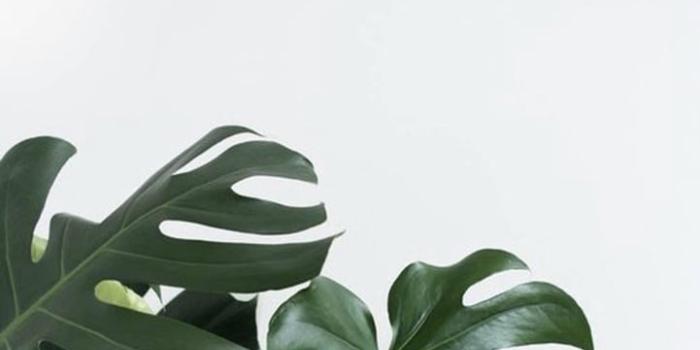 721x1280 Image about cute in ☆ W A L L P A P E R ☆ by