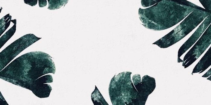 750x1334 Green Aesthetics Wallpapers