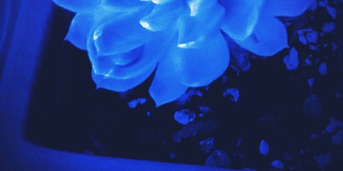 1088x1920 Sient : Blue aesthetic