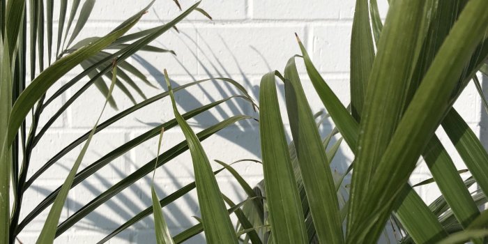 2848x3801 White and green aesthetic | Aesthetic | Green aesthetic tumblr