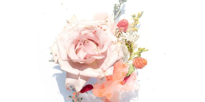 1000x816 Best 100+ Floral Pictures | Download Free Images on Unsplash