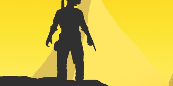 1080x2160 PUBG Wallpapers HD