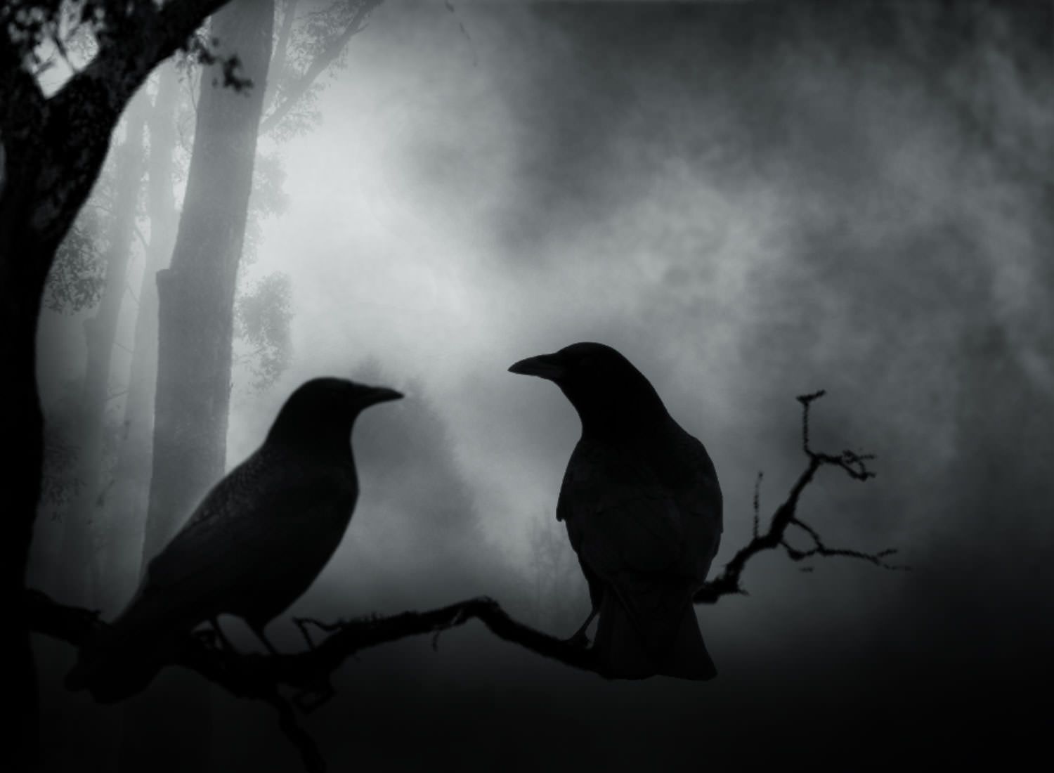 1500x1100 Gothic Crow Wallpapers - Top Free Gothic Crow Backgrounds