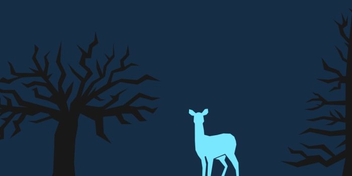 1080x1920 10 Latest Harry Potter Wallpaper Android FULL HD 1920×1080 For PC