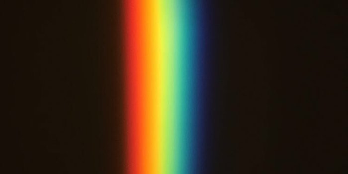 750x1334 64633698 I'll miss you if you go......... . . | spectrum