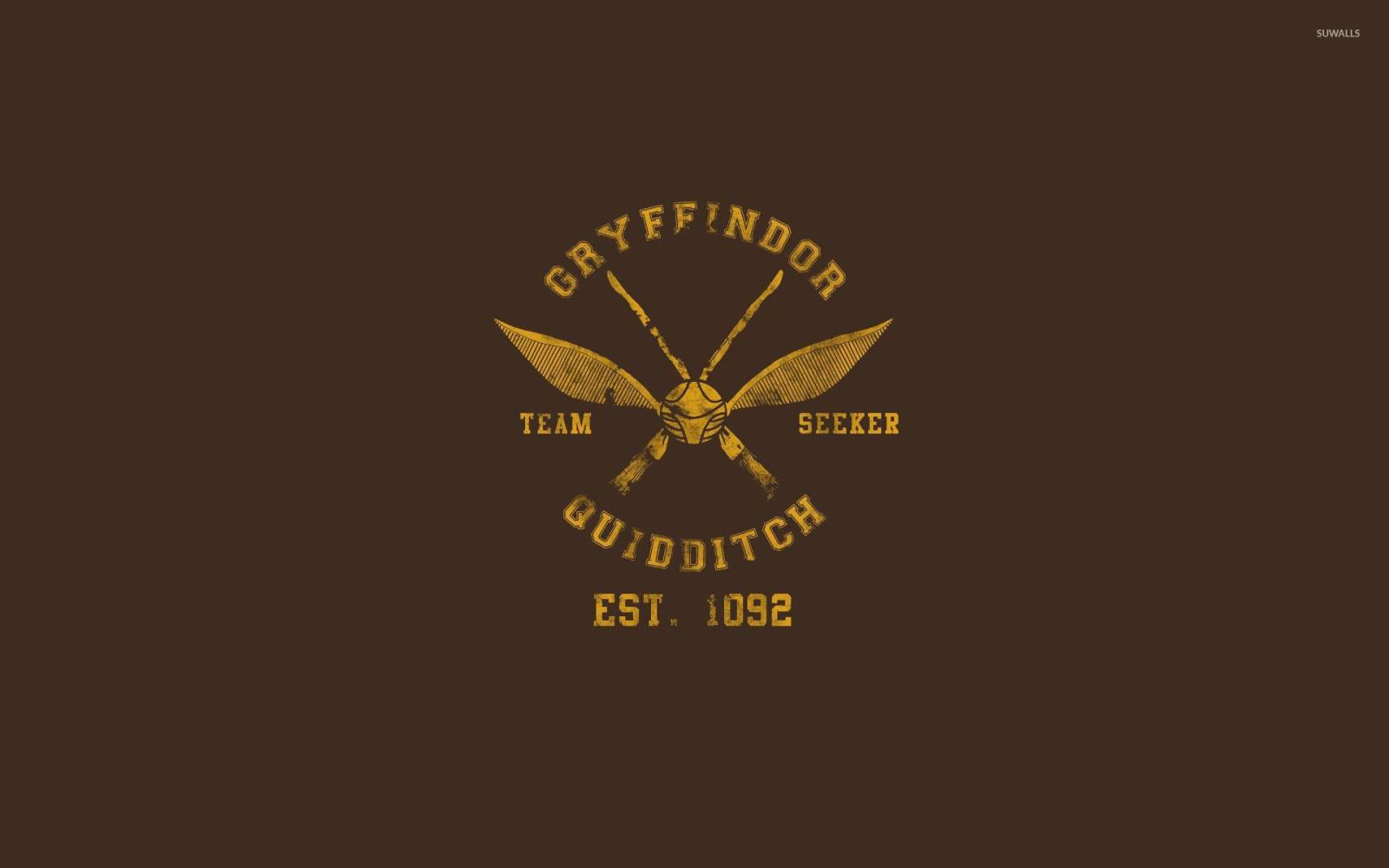 1920x1200 Quidditch Wallpapers