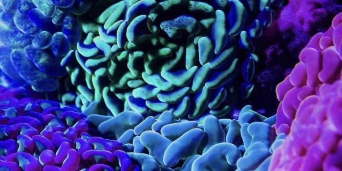 1125x2436 Top 5 Free Wallpaper Apps for Your iPhone « iOS & iPhone :: Gadget Hacks