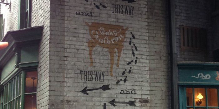 2448x3264 Diagon Alley~ - The Wizarding World of Harry Potter foto (38505827