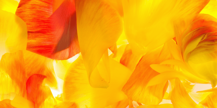 1920x1920 Download Samsung Galaxy S5 wallpaper - SamMobile