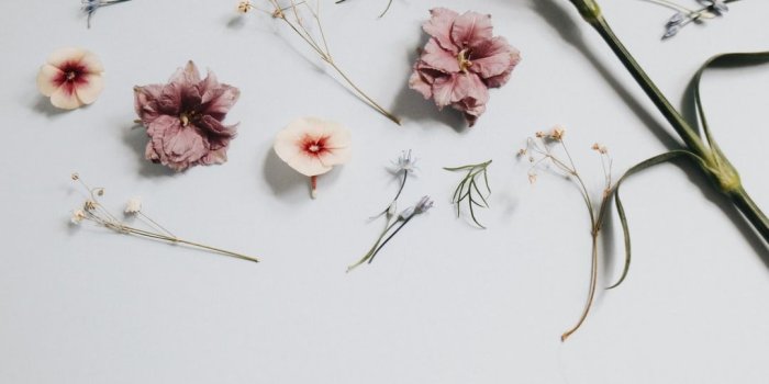 1080x764 100+ Minimalist Pictures | Download Free Images on Unsplash