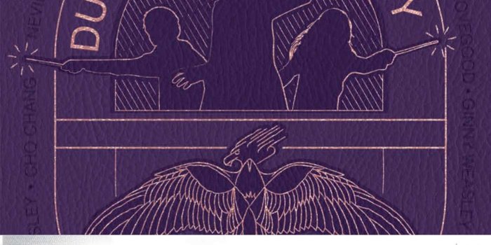 1399x2199 Amazon.com: Harry Potter: Dumbledore's Army Hardcover Ruled Journal