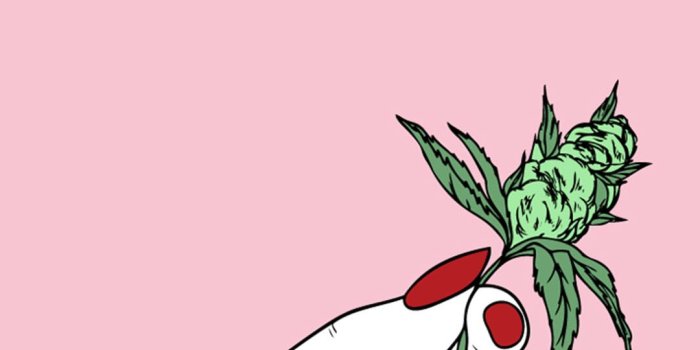 1080x1920 Jenna on cute in 2019 | Stoner art, Weed wallpaper, Dope art