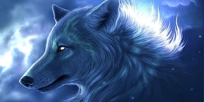 1024x768 Cool Wolf Backgrounds