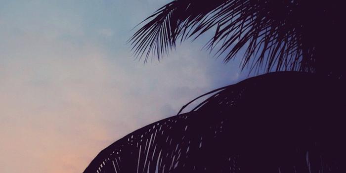 1125x2436 Chill vibes. | Aesthetics in 2019 | Chill wallpaper, Mood wallpaper