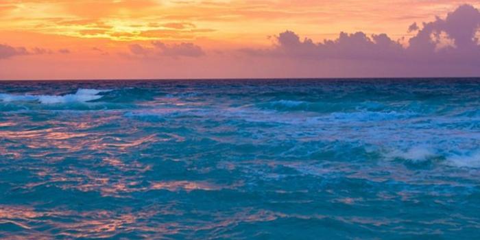 720x1520 Sea Surf Sunrise Waves Sand Ocean Wallpaper - [720x1520]