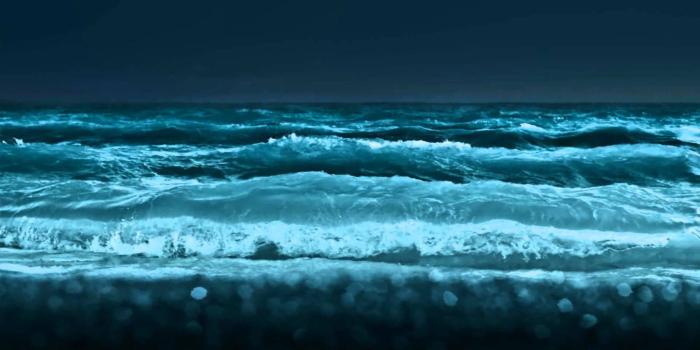 1920x1080 65+ Moving Ocean Wallpapers - Download at WallpaperBro