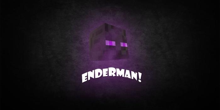 1600x900 Minecraft enderman wallpapers Gallery