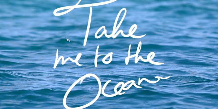 1730x1155 3 Adorable Ocean-Inspired iPhone X Wallpapers | Preppy Wallpapers