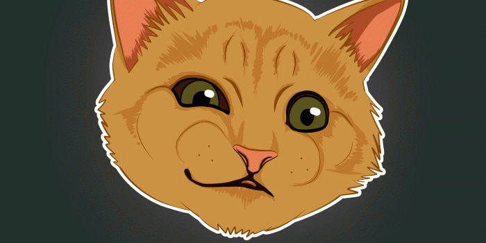 4000x6000 Download wallpaper 4000x6000 cat, emotions, funny, art, meme hd