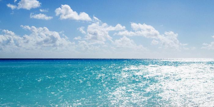 2524x2524 Ocean wallpapers for iPhone and iPad