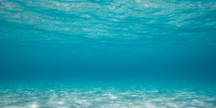 1920x1200 35+ Underwater Ocean HD Wallpapers - Download at WallpaperBro