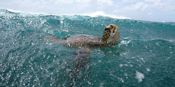 1920x1080 Ocean Wallpaper on newwallpaperdownload.com