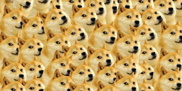 1243x691 Doge Meme Wallpaper 1920X1080 | Wallpapers HD Quality