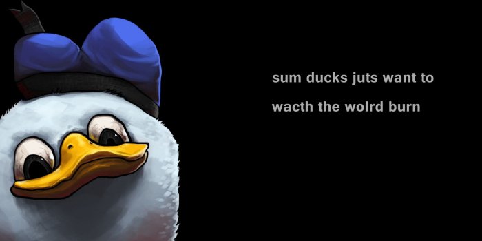 1920x1080 49+] 1920x1080 HD Meme Wallpaper on WallpaperSafari