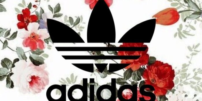 844x1500 Floral Adidas wallpaper | Home screens in 2019 | Adidas iphone