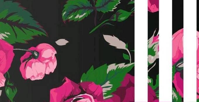 680x1280 Adidas flower Wallpaper by EnchantingDjBlack - 54 - Free on ZEDGE™