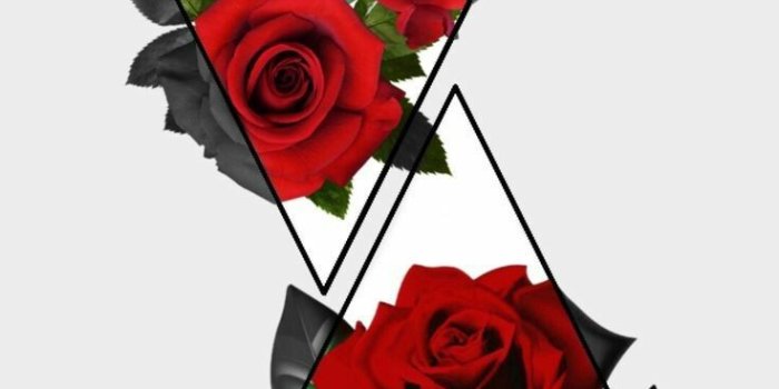 736x1308 aesthetic wallpaper — •Red aesthetic wallpaper •