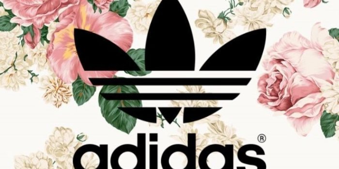 736x1309 Floral Adidas wallpaper – Clair Jenkins | NEW Decorating Ideas