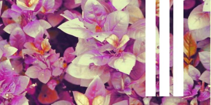 781x1280 Adidas Wallpaper by AronFdo23 - d1 - Free on ZEDGE™