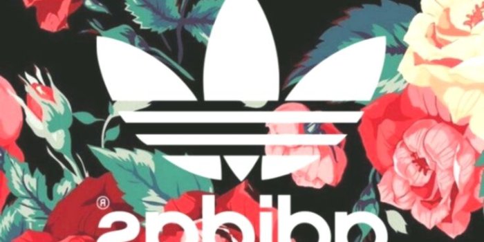 736x1307 Floral Adidas lockscreen wallpaper | Track Suits