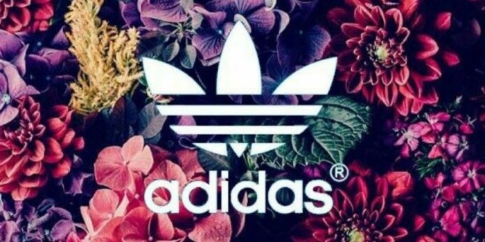 900x1383 Camilla on style ♡♤♡♤♡ in 2019 | Adidas backgrounds