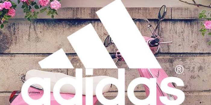 750x1334 Pink Adidas Wallpapers