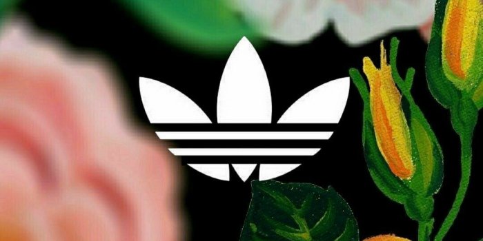 1080x1920 Dope Floral Wallpapers - Top Free Dope Floral Backgrounds