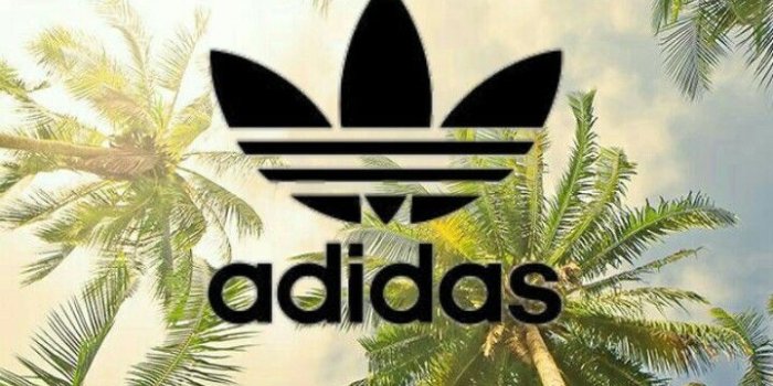 720x1282 Adidas iPhone Wallpapers - Top Free Adidas iPhone Backgrounds