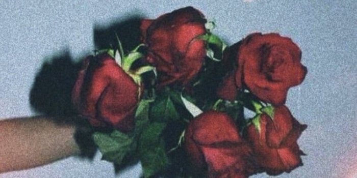 750x1273 Aesthetics wallpaper with quotes shared by hadisanjasmine